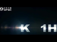 EU 인증 dfsk K01H LHD